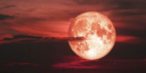 Full Strawberry Moon Bike Ride