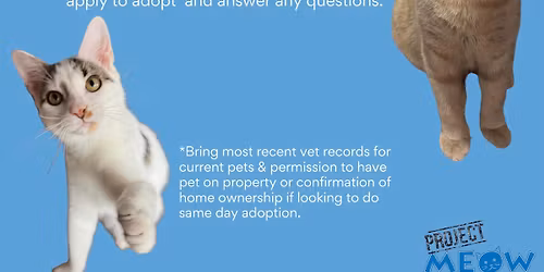 Project MEOW Adoption Event!