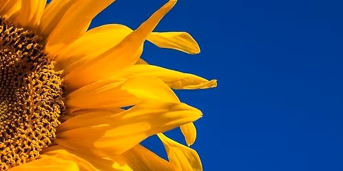 Arboretum Plant Sale Weekend