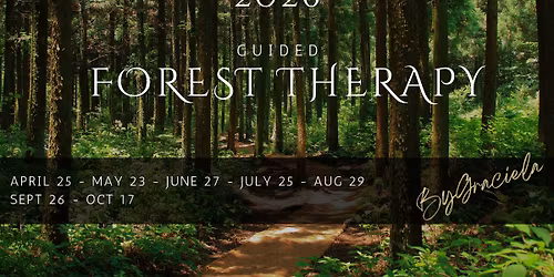 Guided Forest Therapy