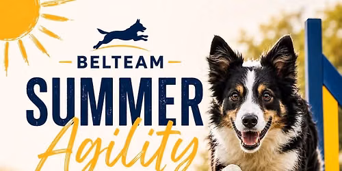 Belteam agility cup