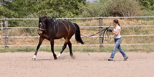 Doppellongenkurs mit Lisa Kittler