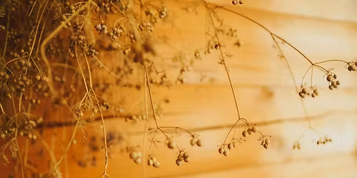 Testr\u0151l \u058d L\u00e9lekr\u0151l SzomatoDr\u00e1ma\u00ae Nap 