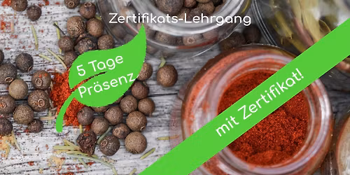 Lehrgang Kursleiter:in Waldheilkunde