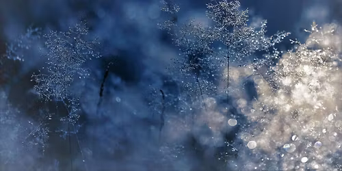 Blue Christmas Service