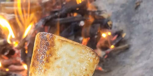 \ud83c\udf84Festive Woodland Weekender\ud83c\udf84