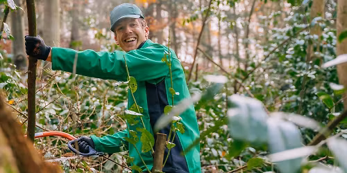 Haughmond Volunteer Day