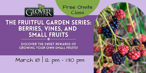 The Fruitful Garden Series: Berries, Vines, and Small Fruits