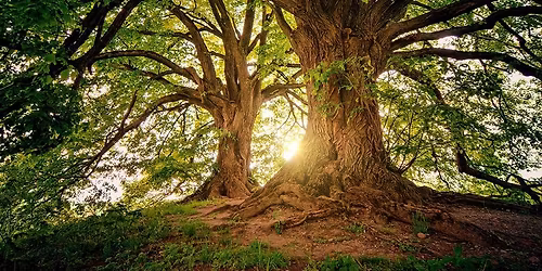 First Friday Nature Day (Theme TBD)