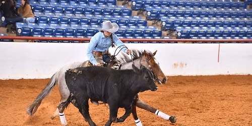 FWSSR Invitational Working Cow Horse Fence Challenge