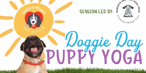 Doggie Day Puppy Yoga 