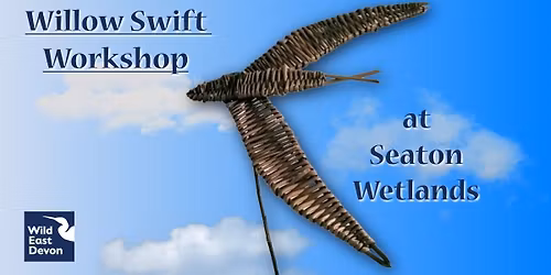 Willow Swift Workshop