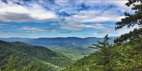 Spring Blooms Hike Series: Poor Mountain