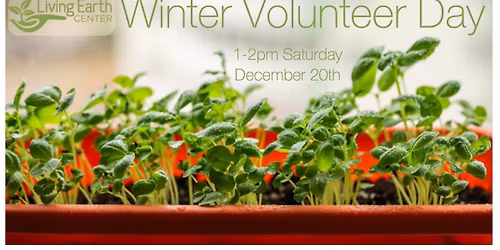 December Winter Volunteer Day
