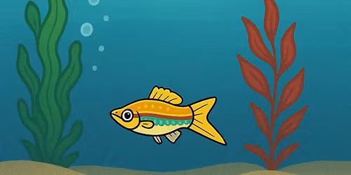 Tulsa Area Livebearer Enthusiast Society (TALES) Swap Meet