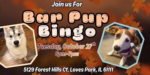 Bar pup Bingo