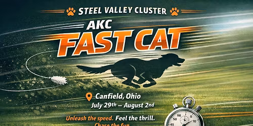 Duke\u2019s AKC Fast CAT\u2019s at Steel Valley Cluster in CANFIELD, OH.