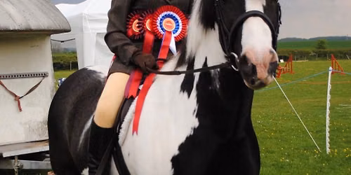 Legacy of Dreams Charity Horse & Dog Show