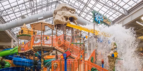 Night out at Kalahari