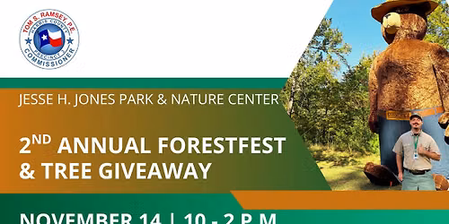 2nd Annual ForestFest