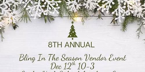 8th Annual Bling in the Season Shopping Event