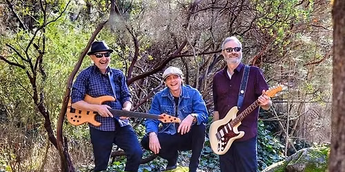 Sunday Night Jam w the Shufflenuts at the El Verano Inn, Sun, Nov 23rd, 7p-10p