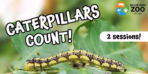 FREE Citizen Science: Caterpillars Count!
