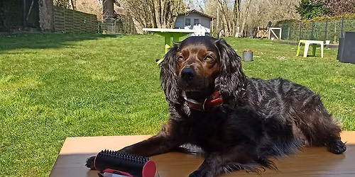 Stage Training M\u00e9dical