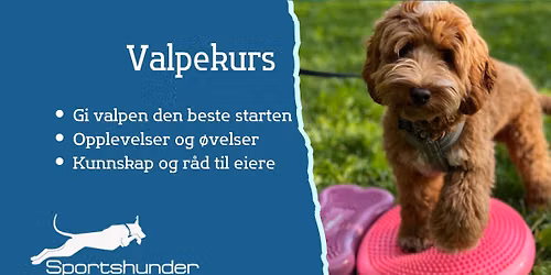  Valpekurs p\u00e5 By\u00e5sen