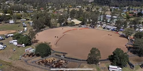 Fernvale Gold Stirrup Campdraft
