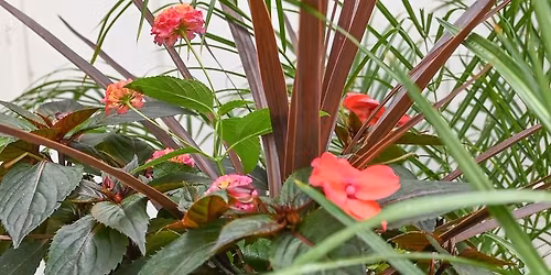 DIY: Summer Container Design Seminar