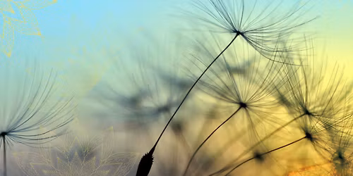 Trauma informed yoga for every level of practice