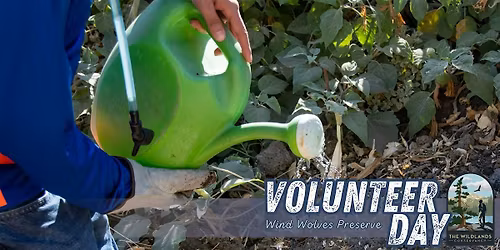 Backcountry Volunteer Day: Plant Watering -  Wind Wolves Preserve