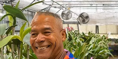 Orchids: Good Growing & What it Takes!