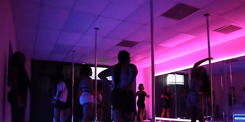 INTRODUCTION TO POLE DANCE - BEGINNER POLE DANCE 101 CLASS