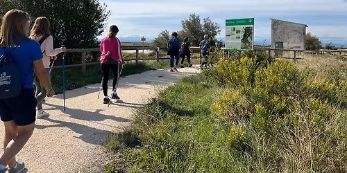 Nordic Walking alla Salina di Cervia
