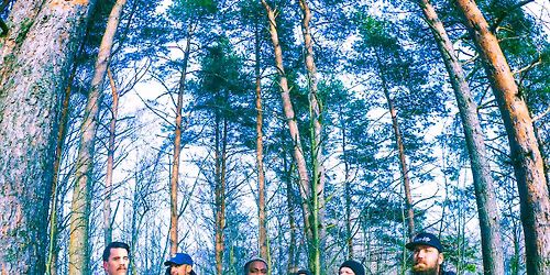 L\u00c4HI\u00d6BOTOX \/ Dynamo