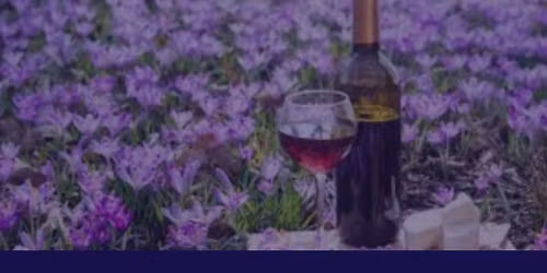 Wine Tasting and Tapas \/ Cata de Vinos y Tapas