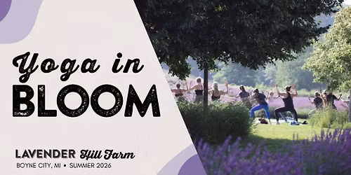 Yoga in Bloom at Lavender Hill Farm