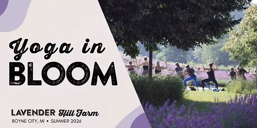 Yoga in Bloom at Lavender Hill Farm