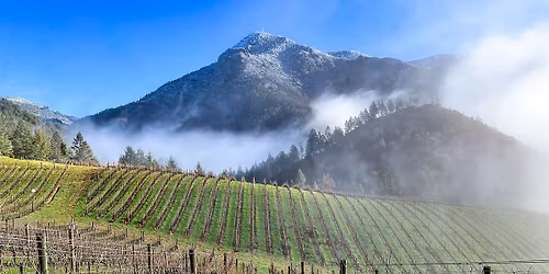 Wine Dinner: Peter Michael