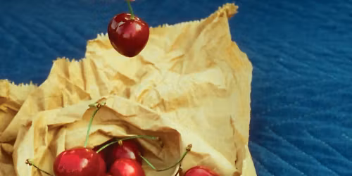 Nation of Language in Guadalajara