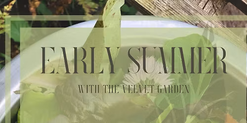 Early Summer with Velvet Garden