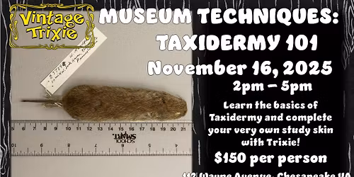 Museum Techniques: Taxidermy 101