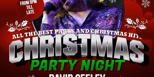 \ud83c\udf84\ud83c\udfb8 Christmas Party Night with David Seely \ud83c\udfb6