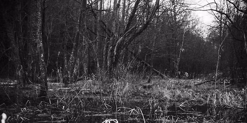 post-hudba: Folková vánoční besídka v Praze