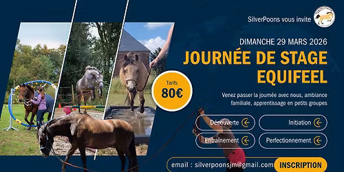 Stage d'Equifeel d'été : initiation et entrainement [COMPLET]