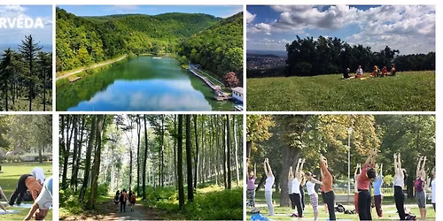 5 ELEM J\u00d3GA & \u00c1JURV\u00c9DA ELVONUL\u00c1S