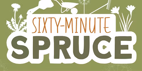 Sixty-Minute Spruce in Fremington