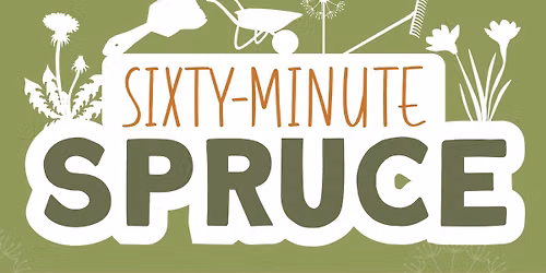 Sixty-Minute Spruce in Fremington